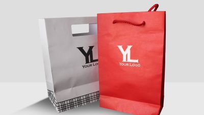 موکاپ ساک خرید کاغذی موکاپ ساک خرید کاغذی