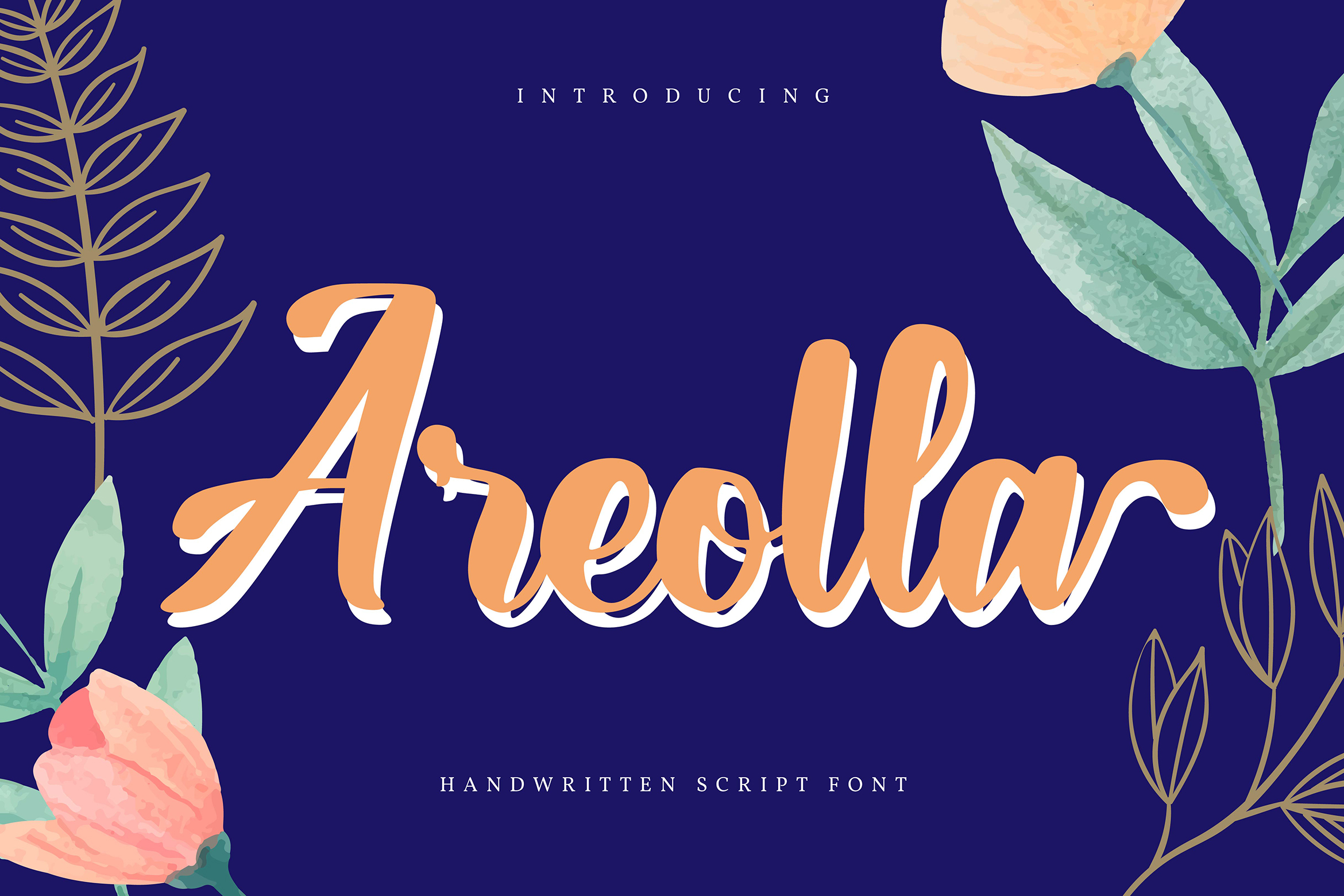 فونت انگلیسی Areolla