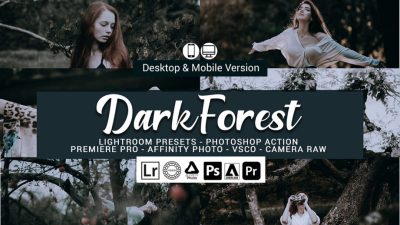 20 پریست لایت روم جنگل تاریک Dark Forest