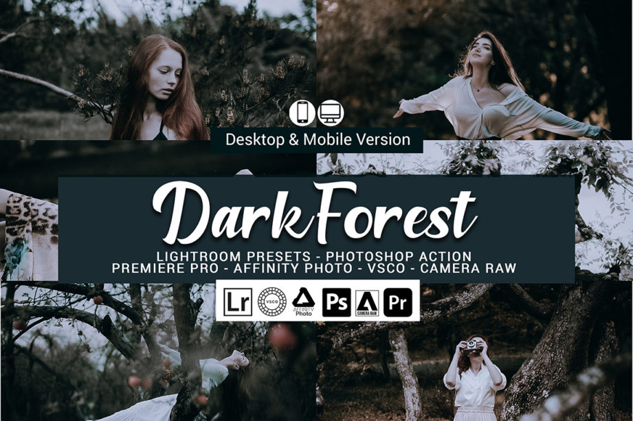 20 پریست لایت روم جنگل تاریک Dark Forest